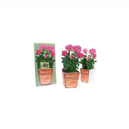 3D-Karte Rosen - Set von 4 Karten