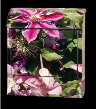 Briefkasten Clematis