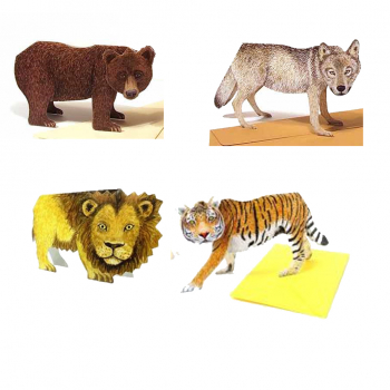 3D-Karten - Set von 4 wilden Tieren