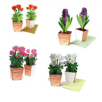 3D Karten - Set von 4 Blumen