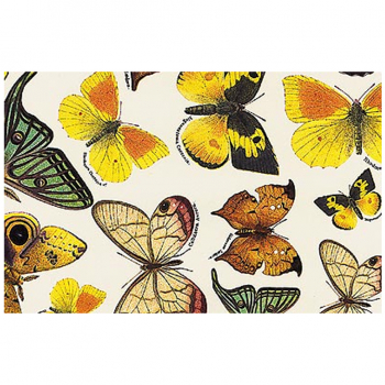 Geschenkpapier - Schmetterlinge