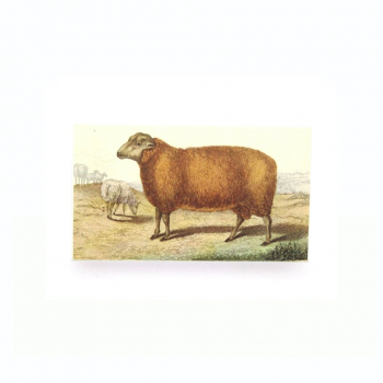 Streichholzschachtel Schaf - braun